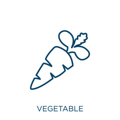 Poster - vegetable icon. Thin linear vegetable outline icon isolated on white background. Line vector vegetable sign, symbol for web and mobile.