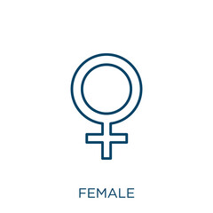 Poster - female icon. Thin linear female outline icon isolated on white background. Line vector female sign, symbol for web and mobile.