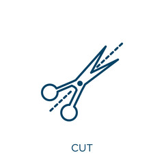 Poster - cut icon. Thin linear cut outline icon isolated on white background. Line vector cut sign, symbol for web and mobile.