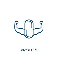 Poster - protein icon. Thin linear protein outline icon isolated on white background. Line vector protein sign, symbol for web and mobile.