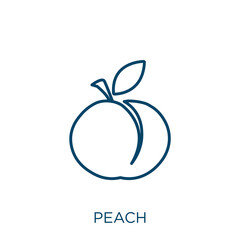 Poster - peach icon. Thin linear peach outline icon isolated on white background. Line vector peach sign, symbol for web and mobile.