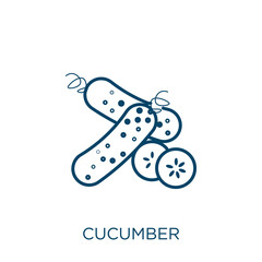 Poster - cucumber icon. Thin linear cucumber outline icon isolated on white background. Line vector cucumber sign, symbol for web and mobile.