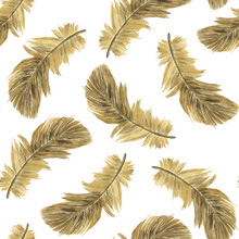 Flying Brown Feather In Seamless Pattern On White Background. Watercolor Hand Drawing Illustration. Realistic Painting Of Feather In Wallpaper Or Digital Paper.
