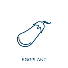 Poster - eggplant icon. Thin linear eggplant outline icon isolated on white background. Line vector eggplant sign, symbol for web and mobile.
