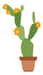 Blooming cactus. Yellow flower succulent in ceramic pot
