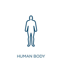 Wall Mural - human body icon. Thin linear human body outline icon isolated on white background. Line vector human body sign, symbol for web and mobile.