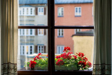 Wall Mural - Window with flower box Old Town, Innsbruck, Tyrol, Austria.