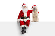© Ljupco Smokovski - Full length portrait of a santa claus sitting on a white banner with a retriever dog
