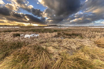 Sticker - Winter Landscape of Marshland Leekstermeer