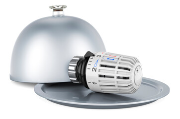 Poster - restaurant cloche with thermostat. 3d rendering