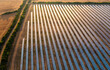© 24K-Production - Aerial shot of ground-mounted solar panels, on a solar farm, at sunset.