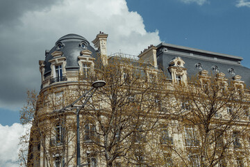 Wall Mural - house in paris