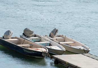 Wall Mural - Boats moored along the Po River, Cremona, Italy