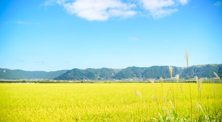 実りの秋「阿蘇外輪山を背景に阿蘇の農産物風景」
Fruitful autumn 