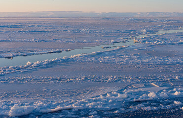 Poster - Dawn at frozen Disko Bay during winter, West Greenland, Disko Island in the background. Greenland, Denmark