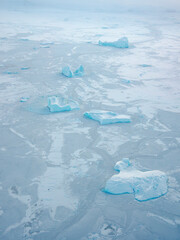 Poster - Sea ice with icebergs in the Baffin Bay, between Kullorsuaq and Upernavik in the far north of Greenland during winter.