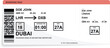 Red vector airline passenger and baggage boarding pass ticket