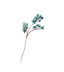Wall Mural - 
Branch with flowers. Watercolor illustration