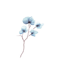 Wall Mural - Blue flowers. Watercolor illustration. Hand painted