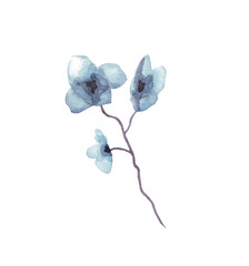 Wall Mural - Blue flowers. Watercolor illustration. Hand painted