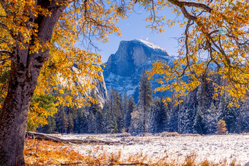 Sticker - Cook's Meadow. Autumn first snow in Yosemite National Park, California, USA.