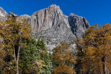 Poster - Cook's Meadow. Autumn first snow in Yosemite National Park, California, USA.