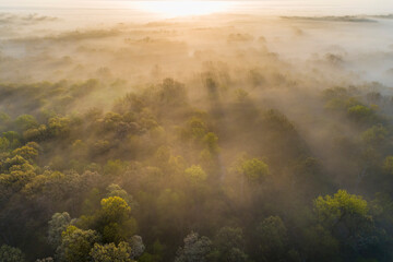 Sticker - Aerial sunrise over forest covered with fog in spring Marion County, Illinois