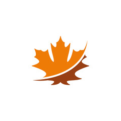 Wall Mural - maple leaf logo icon desig template vector
