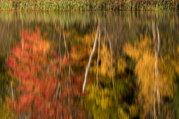 Poster - Abstract fall color reflection, Upper Peninsula of Michigan