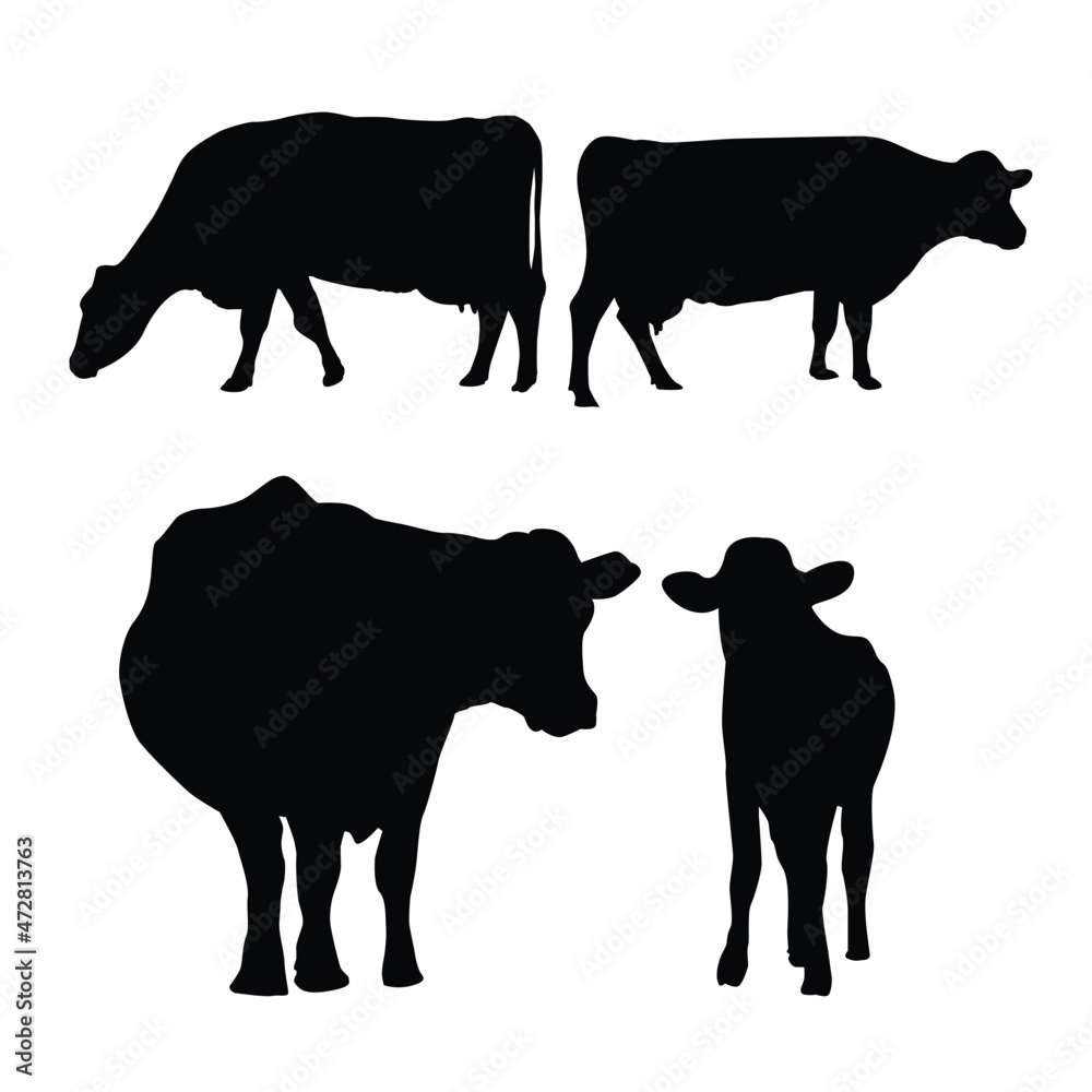 Farm animals cows isolated on white background vector image. Stock ...