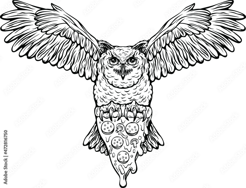 Vector owl isolated illustration. Black color on white background image ...