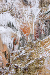 Sticker - Snow mixed with colors of Grand Canyon of Yellowstone, Yellowstone National Park, Montana.