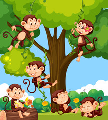 Wall Mural - Forest scene with little monkeys doing different activities