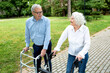 © didesign - Elderly couple chatting and strolling in the park