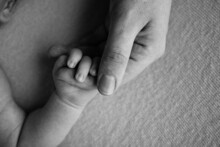 The Newborn Baby Has A Firm Grip On The Parent's Finger After Birth. Close-up Little Hand Of Child And Palm Of Mother And Father. Parenting, Childcare And Healthcare Concept. Black And White Photo.