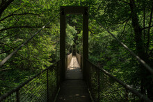 Narrow Suspension Bridge Between Lush Trees In Green Forest