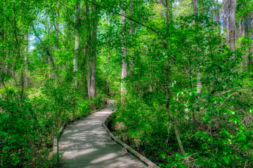 Sticker - Walkway, Sandhills Horticultural Gardens, Pinehurst, North Carolina