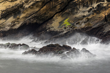 Canvas Print - Long exposure of wave action along coastline, Shore Acres State Park, Cape Arago Highway, Coos Bay, Oregon