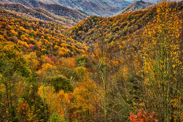 Sticker - Great Smokey Mountains, Tennessee