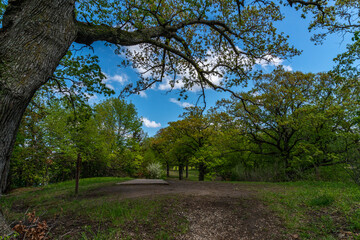 Wall Mural - Big Creek Lake State Park in Polk County, Des Moines Iowa