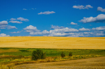 Sticker - USA, Washington State, The Palouse