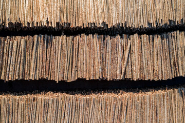 Poster - USA, Washington State, Olympia. Logs in piles at Port of Olympia.