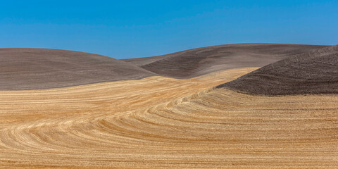 Sticker - USA, Washington State. Dramatic sunshine light up wheat fields after the Fall harvest in the Palouse of eastern Washington.