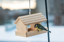 A Great Tit In A Bird Feeder Located In A House Balcony