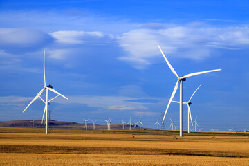 Wall Mural - Wind Turbine Renewable Energy Alberta