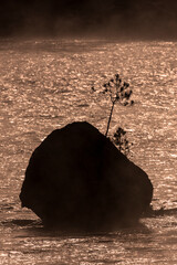 Sticker - Steaming Madison river and early autumn snow, Yellowstone National Park, Wyoming