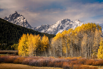 Poster - Autumn view of Mt. Moran from Oxbow Bend, Grand Teton National Park, Wyoming