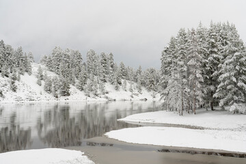 Sticker - USA, Wyoming, Yellowstone National Park. Spring snow covers forest and banks of Yellowstone River.