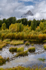 Sticker - USA, Wyoming. Colorful autumn foliage with Teton Range emerging from clouds at Schwabacher Landing, Grand Teton National Park.