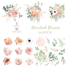 Peachy Pink Roses, Ranunculus, White Anemone, Dried Protea, Dahlia Big Vector Design Set.